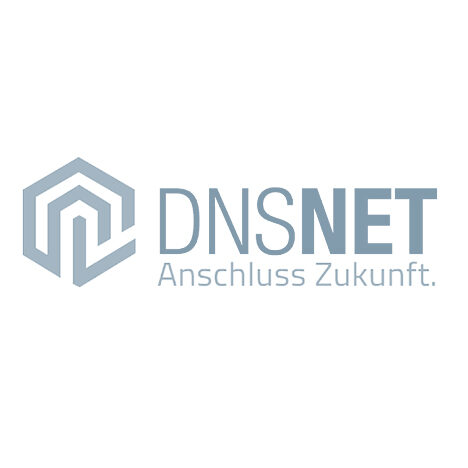 DNS:Net